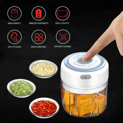 Mini Electric Food Crusher for Kitchen - GOLDENDSW