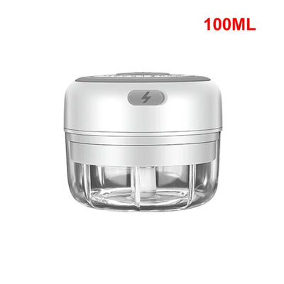 Mini Electric Food Crusher for Kitchen - GOLDENDSW